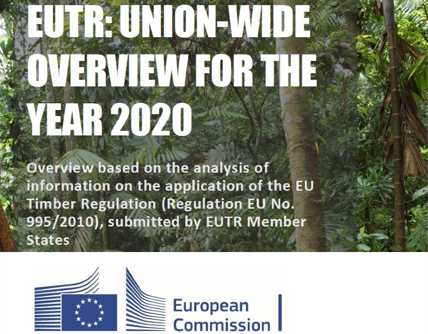 Résultats de l’application du RBUE par les États membres de l’UE en 2020