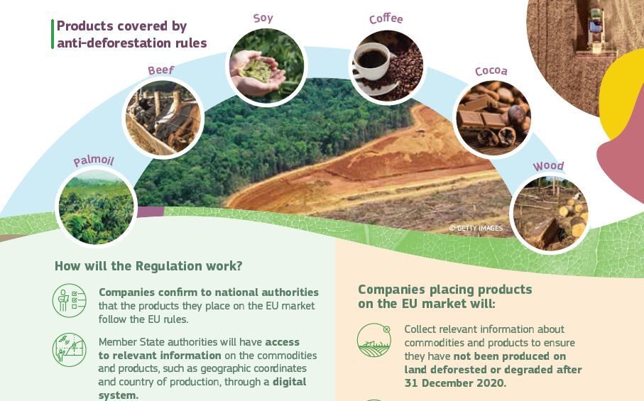 Nouveau projet de loi de l’UE contre la déforestation importée
