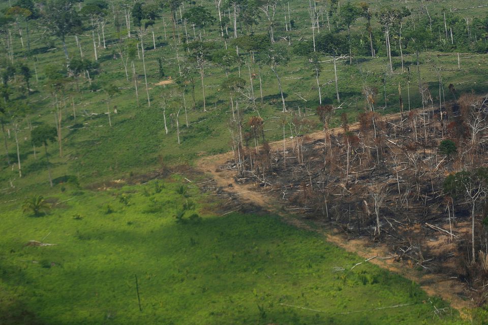 Déforestation au Brésil : le plus haut niveau depuis 2015 dépassé.
