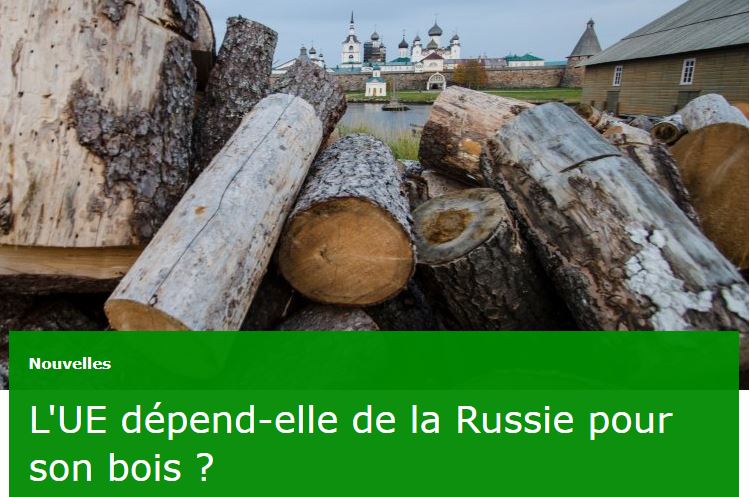 L’UE dépend-elle de la Russie pour son bois ?