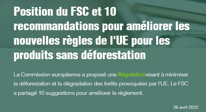Les propositions du FSC pour améliorer le projet de loi Européen sur la déforestation