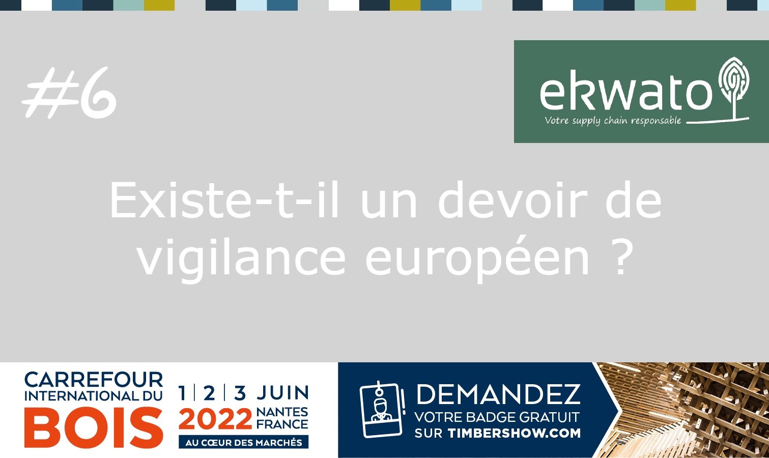 Le devoir de vigilance européen