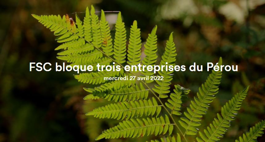 FSC bloque 3 entreprises du Pérou