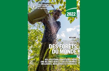 La situation des forêts du monde (SOFO) 2022 par la FAO.