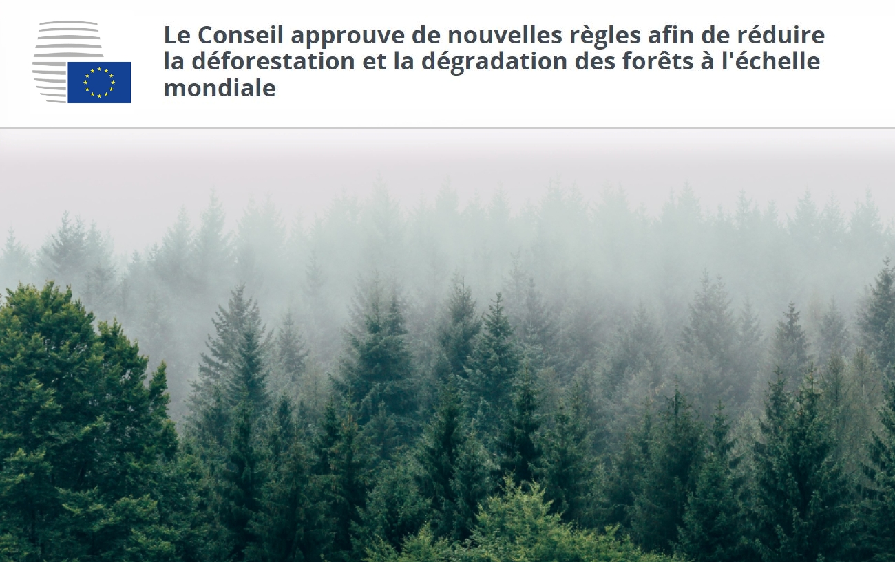 L’UE adopte sa position sur son projet de loi sur la déforestation importée.