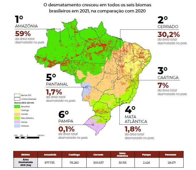 Statistiques 2021 sur la déforestation au Brésil.