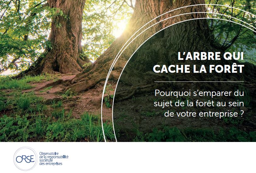 Guide sur la forêt et produits bois pour les professionnels de la RSE.