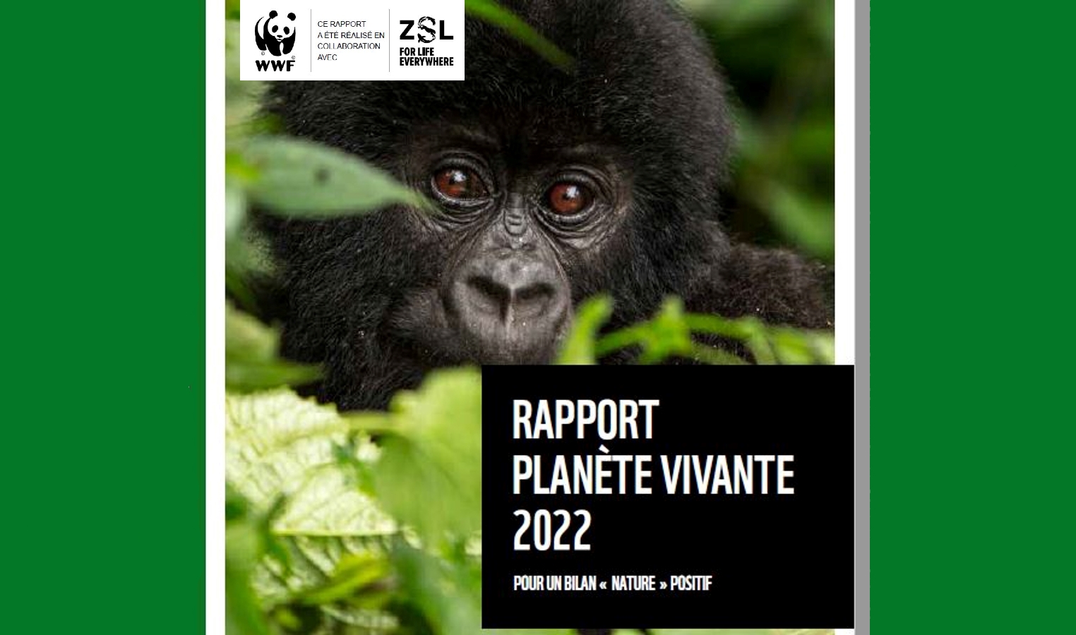 Rapport « Planète vivante 2022 » de WWF