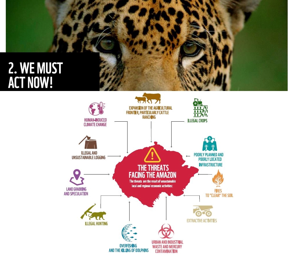 ʺLiving Amazon report 2022ʺ (WWF)