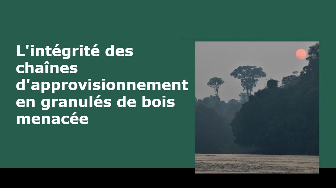 FSC : résultat de la Transaction des pellets bois.