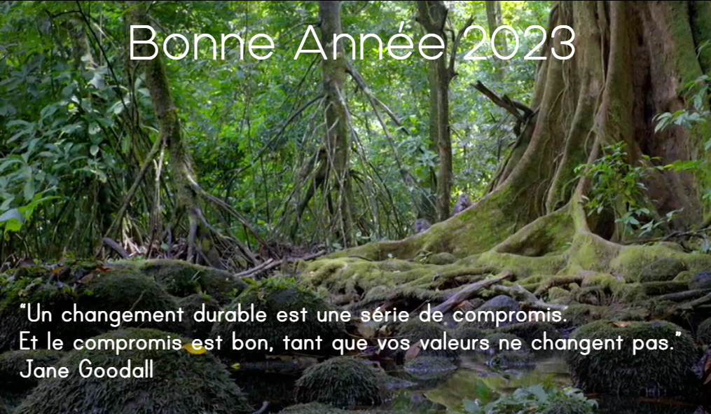 Ekwato vous souhaite une bonne année 2023