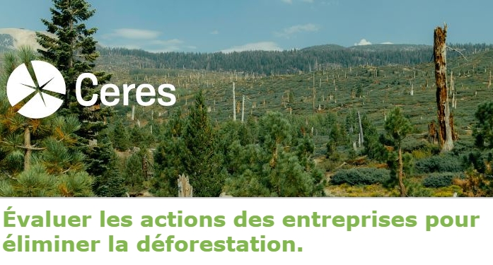 Evaluer les actions des entreprises pour éliminer la déforestation.