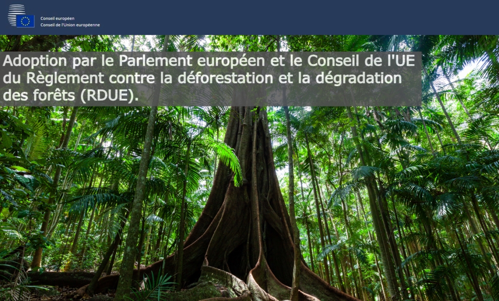 Le « Règlement UE contre la déforestation et la dégradation des forêts » est définitivement adopté.