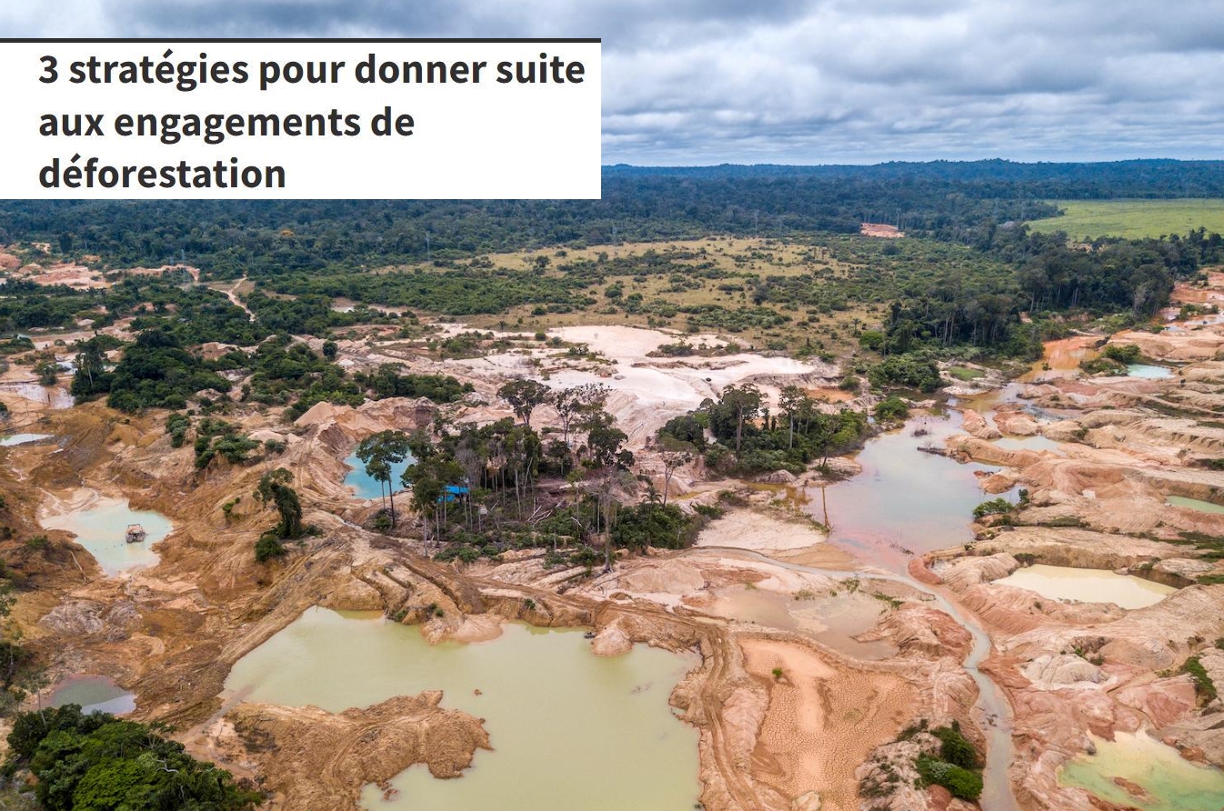 3 stratégies pour donner suite aux engagements de déforestation.