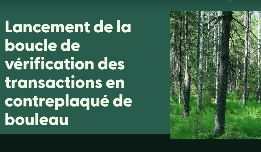 Lancement de la boucle de vérification des transactions FSC pour le contreplaqué de bouleau.