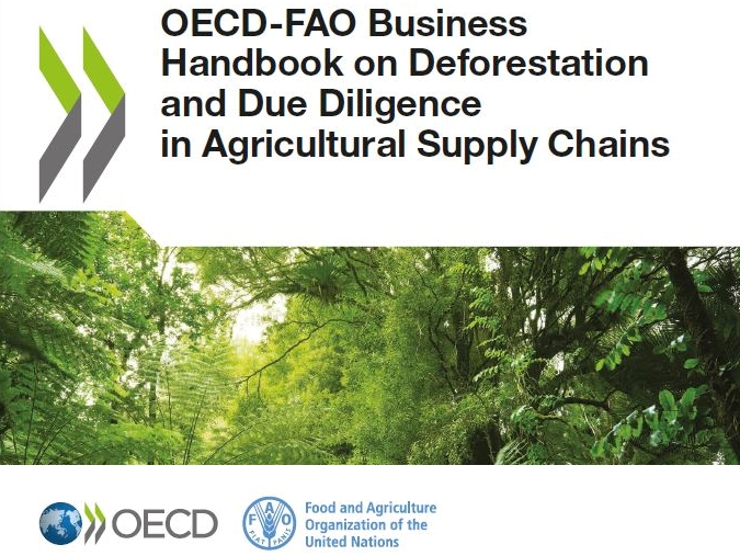 Un guide sur la déforestation et le devoir de diligence dans les chaînes d’approvisionnement agricole.