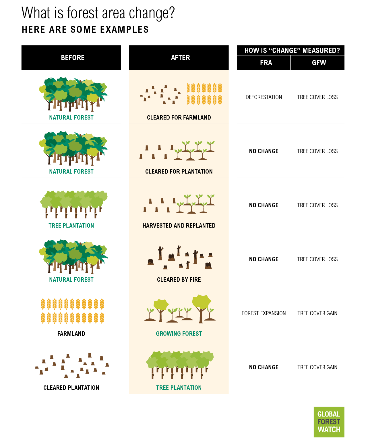 Définition d’une forêt et du changement forestier en 5 graphiques par GFW.