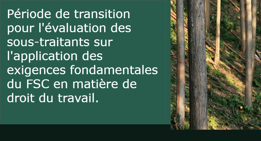 FSC accorde une période de transition pour l’évaluation des sous-traitants en matière de droit du travail.