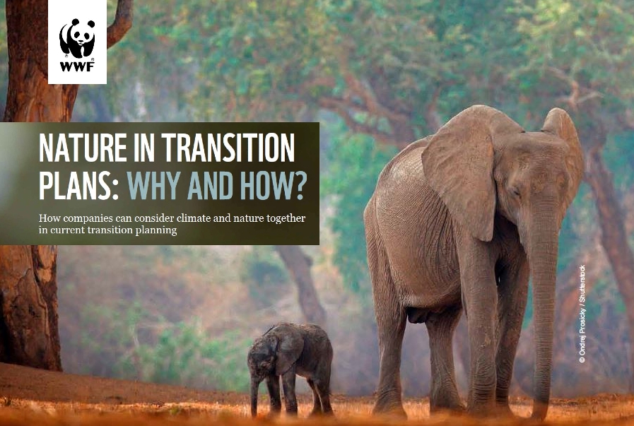WWF propose pour les entreprise un plan de de transition en faveur de la nature.