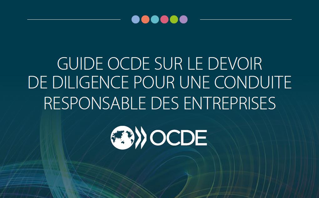 Guide OCDE sur le devoir de diligence pour une conduite responsable des entreprises.