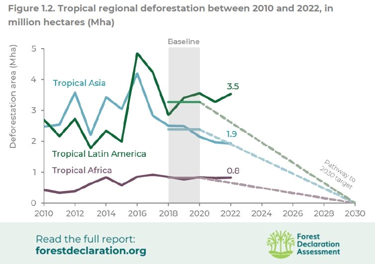 La déforestation mondiale a augmenté de 4% en 2022 par rapport à 2021.