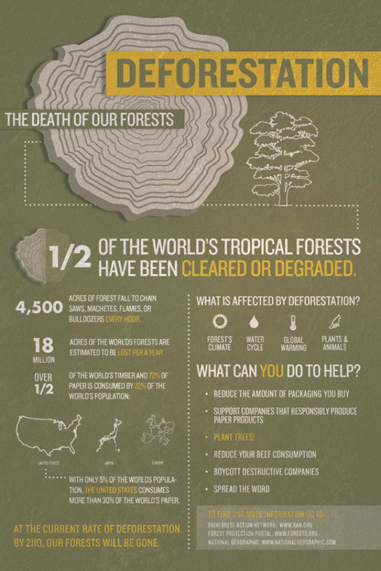 Infographie sur la déforestation