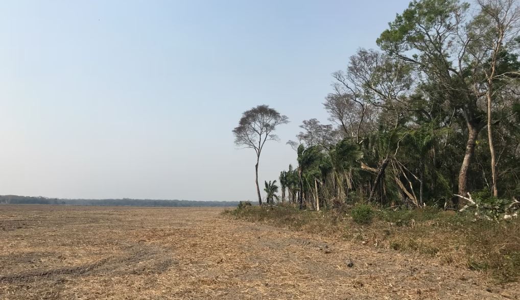 Augmentation brutale de la déforestation en Bolivie : +32 % entre 2021 et 2022.