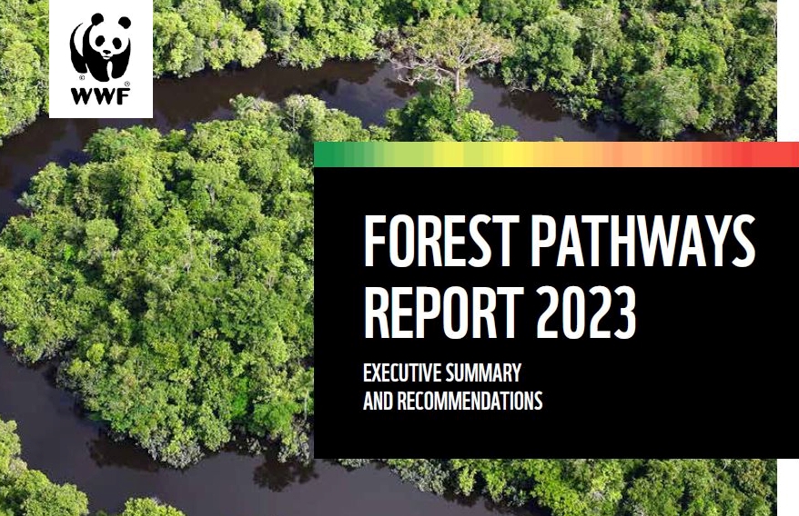 Rapport ʺForest Pathways 2023ʺ de WWF sur la déforestation mondiale : « nous devons changer cela ».