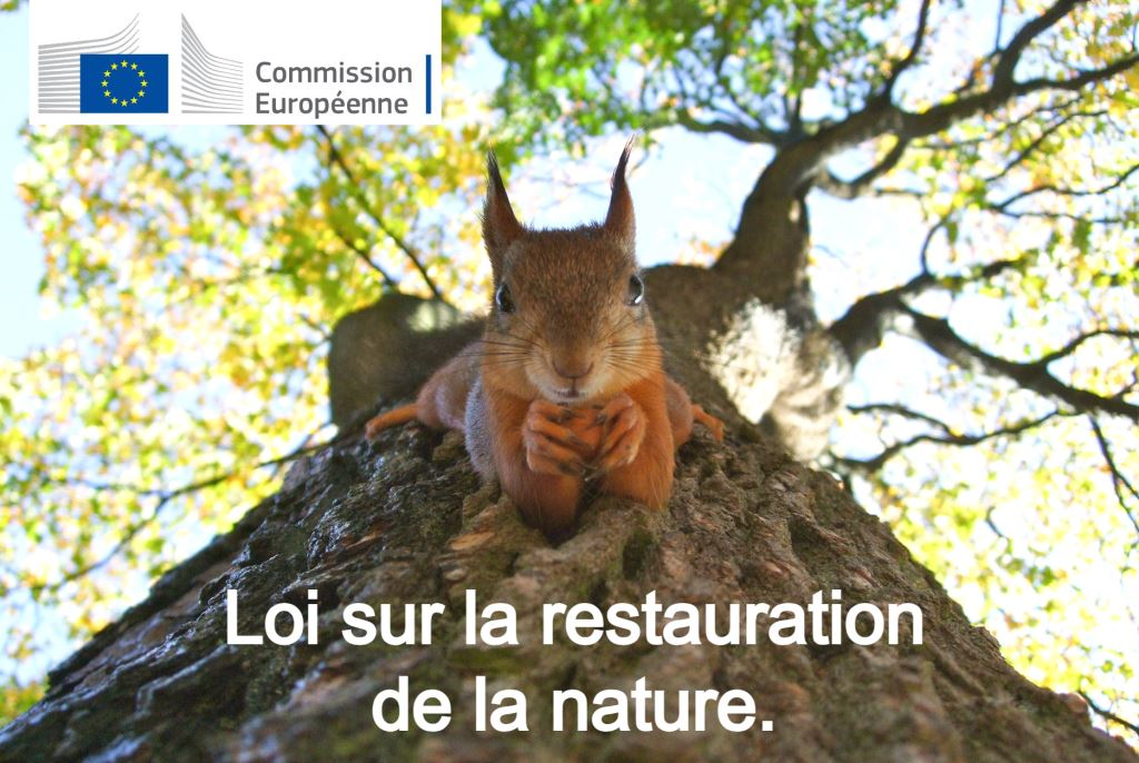 Une loi européenne sur la restauration de la nature.