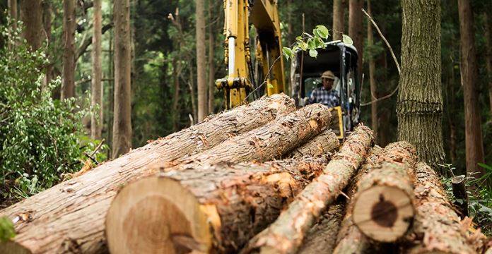 Quels impacts du RDUE sur les chaînes d’approvisionnement ?