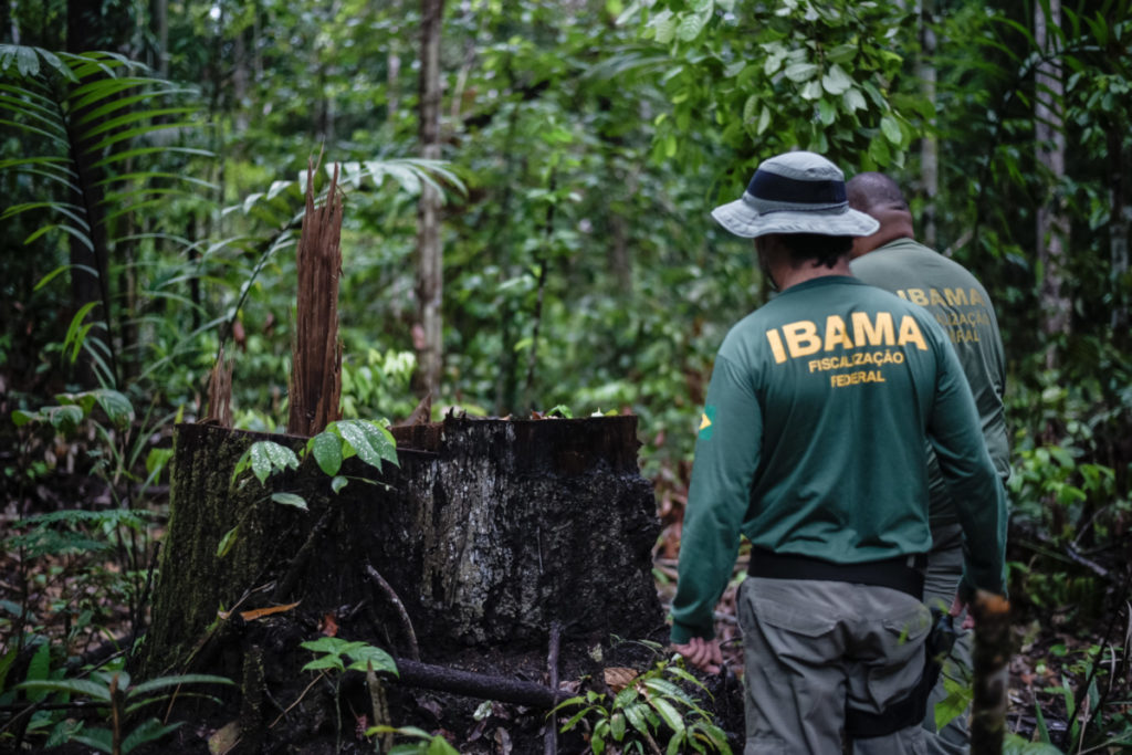 L’Amérique latine progresse dans sa lutte contre la criminalité environnementale.