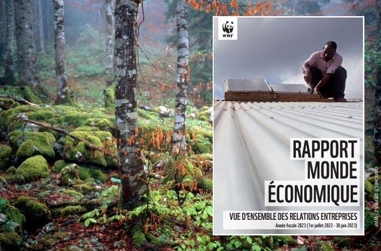 Rapport 2023 de WWF France sur ses partenariats avec les entreprises.