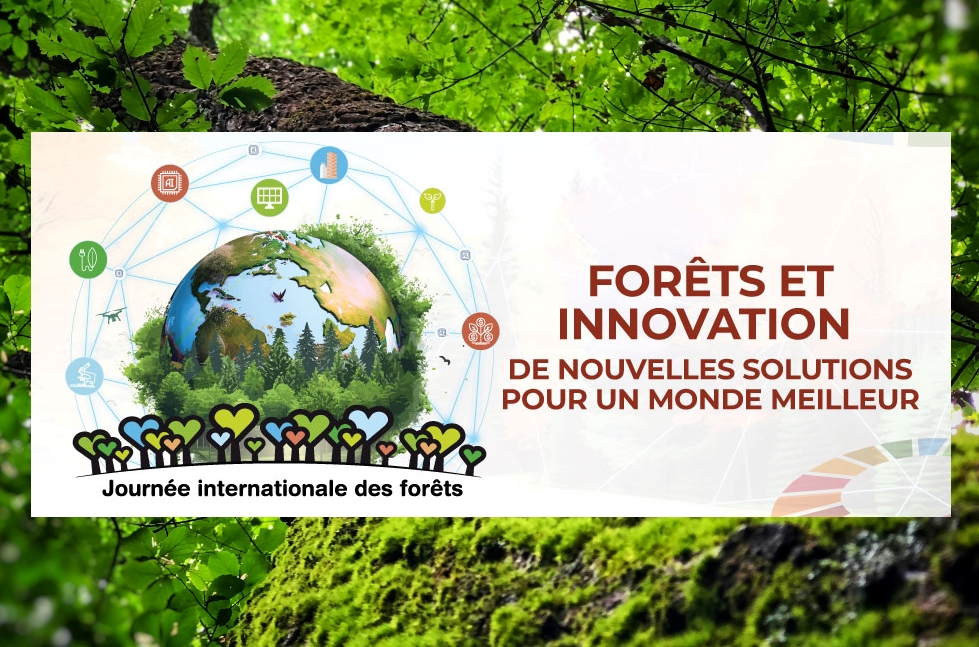 21 mars : journée de la Forêt et de l’Innovation.