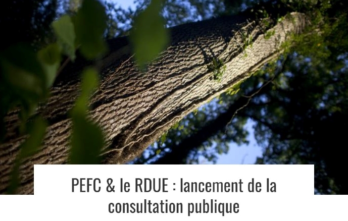 Nouvelle norme SDR/DDS de PEFC pour le RDUE en consultation publique.