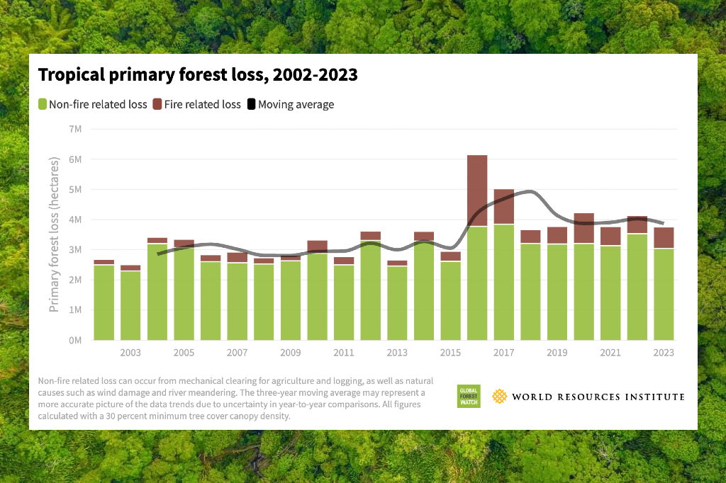 La déforestation mondiale (forêts tropicales primaires) en baisse en 2023.