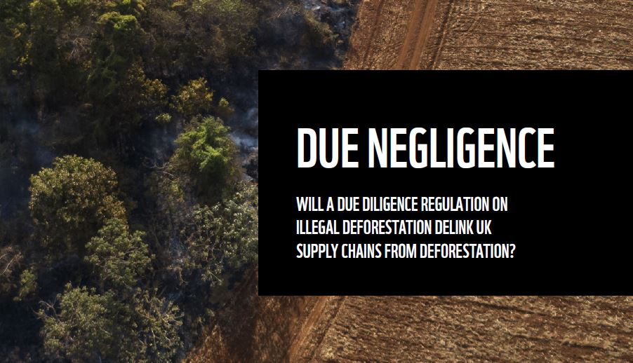 Due Diligence (DDS), Due negligence, Due Diligence Washing (ou DDS washing).