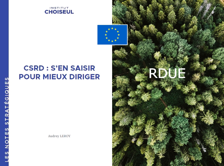 CSRD et RDUE : l’analyse de risque pour faire bouger les entreprises.