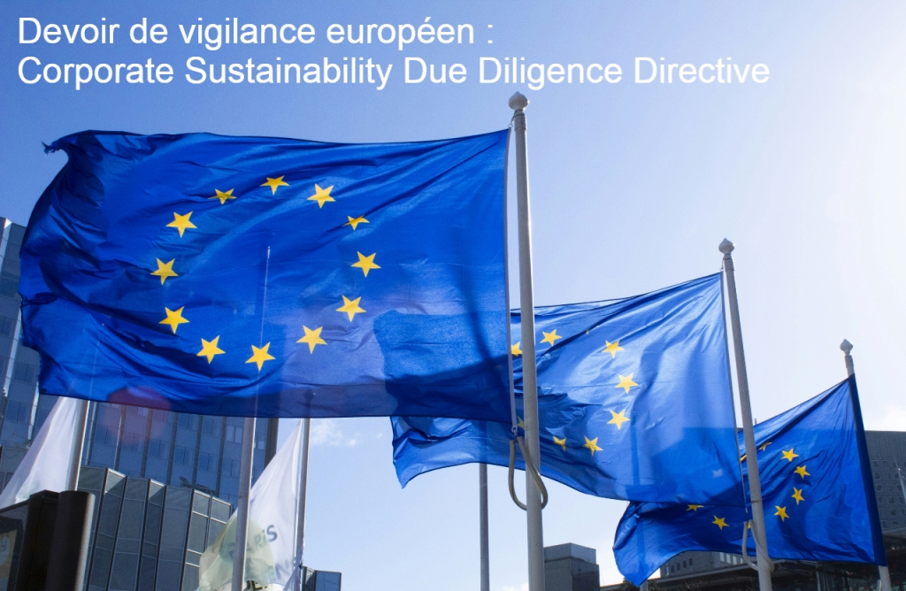 Directive sur le devoir de vigilance (CSDDD) adoptée par le Parlement Européen.