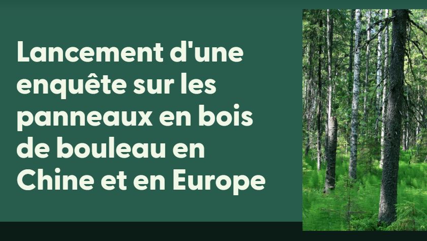 FSC et ASI lance une « boucle de vérification » des chaînes d’approvisionnement du bouleau.