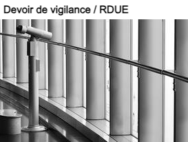 Devoir de vigilance : des exemples de contentieux en justice pour le RDUE.