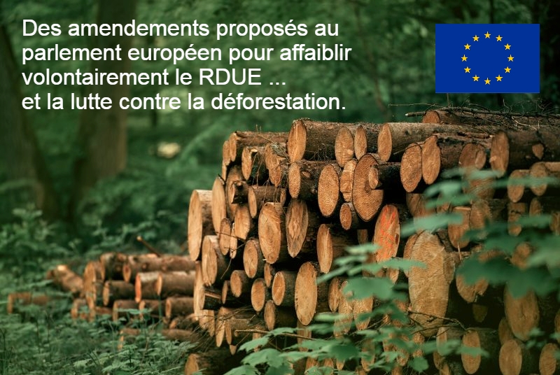 Des amendements proposés au parlement européen pour affaiblir volontairement le RDUE … et la lutte contre la déforestation.