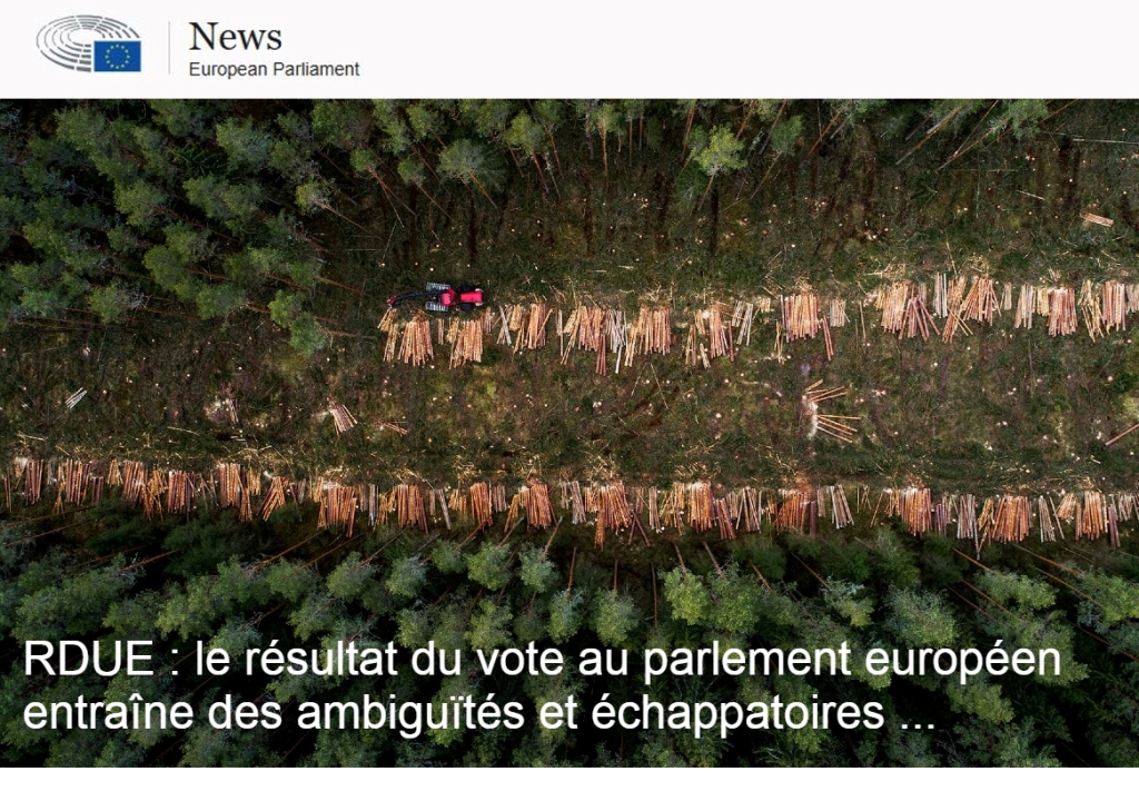 RDUE : le résultat du vote au parlement européen entraîne des ambiguïtés et échappatoires.