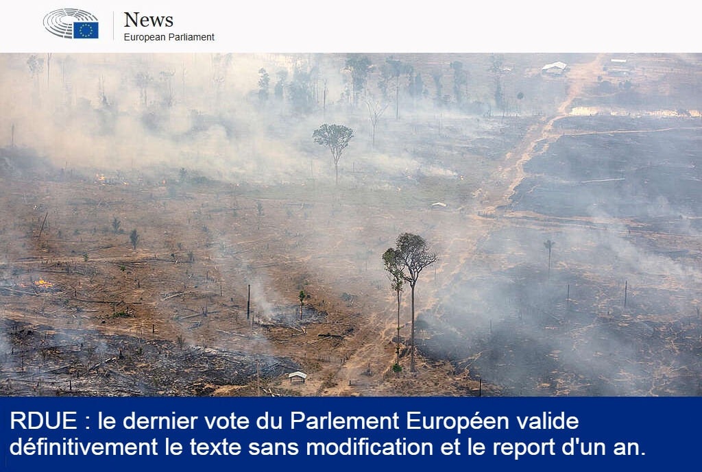 RDUE : le texte initial est finalement adopté avec un délai d’un an supplémentaire.