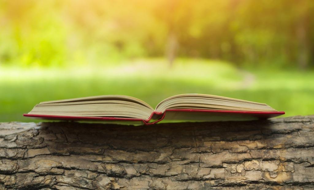Les mots autour du Greenwashing et la diligence raisonnable/raisonnée.