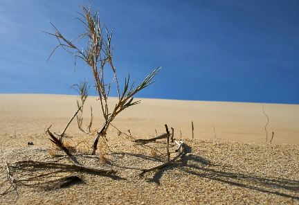 Réchauffement climatique : rester sous +2°C serait à présent impossible.