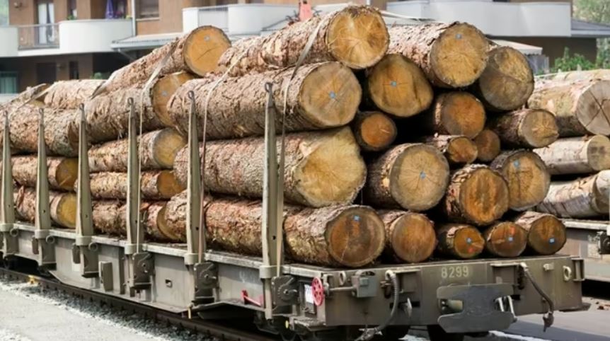 Blocage des bois ukrainiens à la frontière de Pologne.