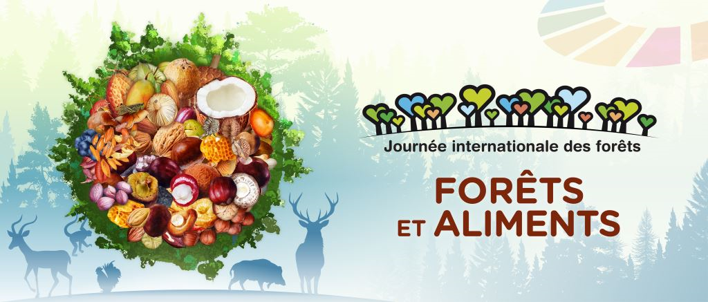 21 mars : journée internationale des forêts.