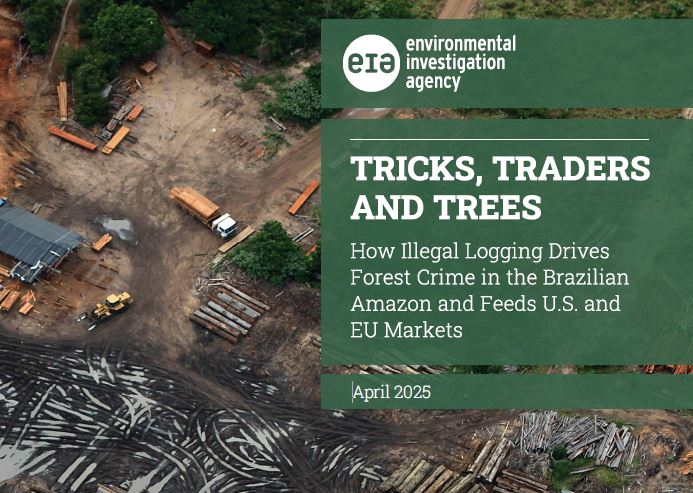 Enquête EIA : importation en Europe de bois illégaux du Brésil malgré le RBUE ; des entreprises identifiées.