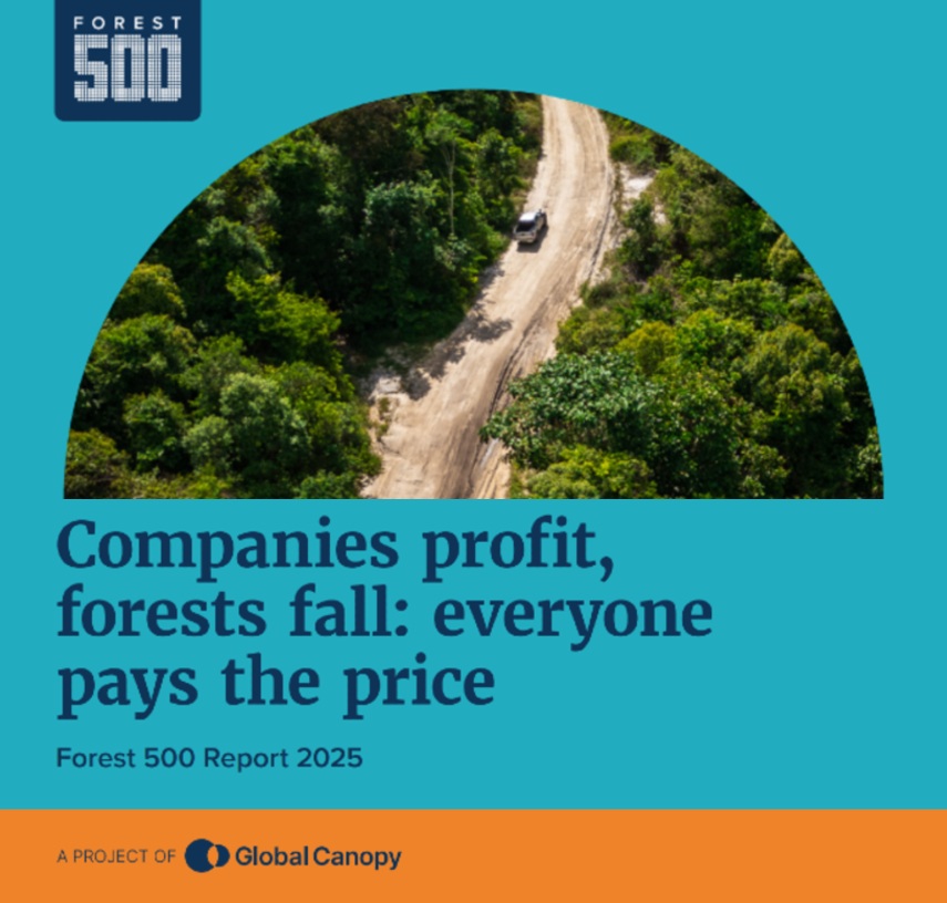 Forest 500 publie son rapport annuel 2025