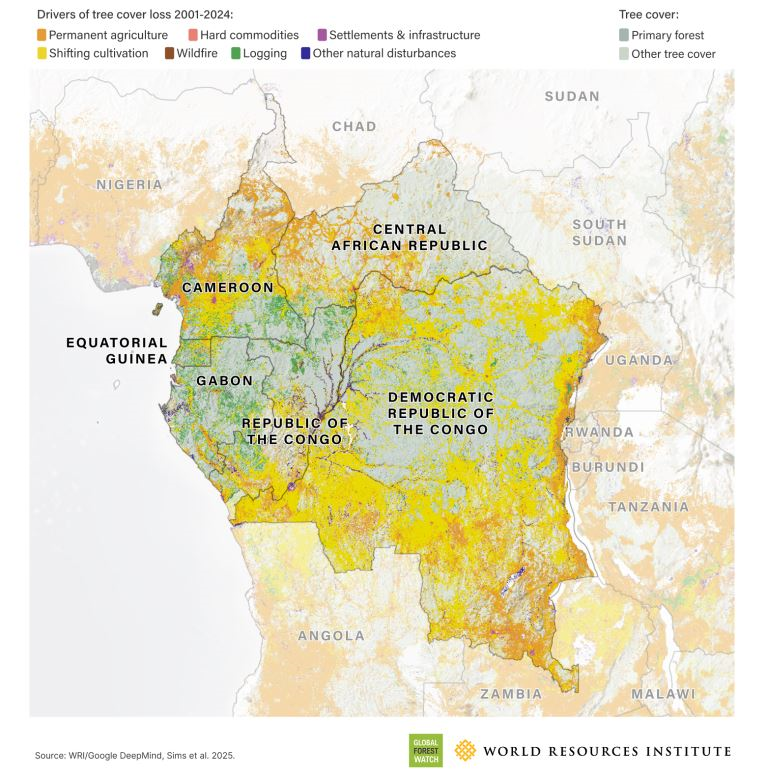 Les facteurs de déforestation dans le Bassin du Congo.